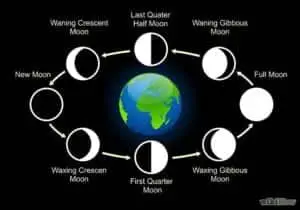 8-Phases-of-the-moon-in-order