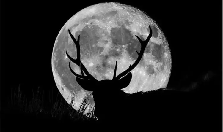 full-moon-in-july-2021-buck-moon-northern-hemisphere