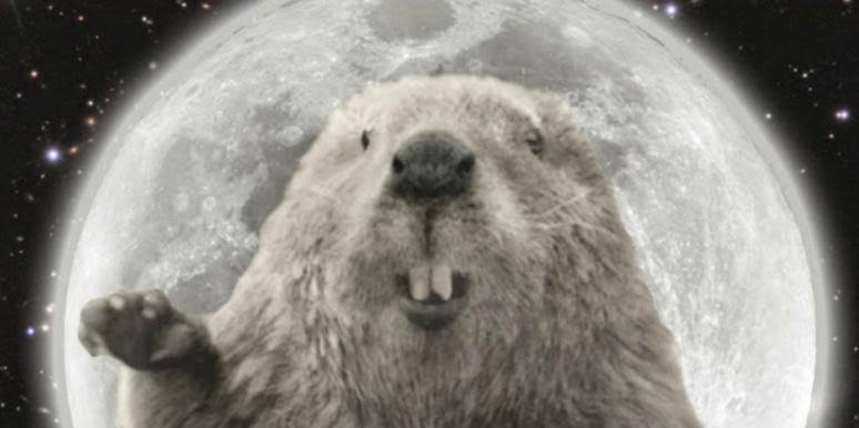 full-moon-in-may-2021-beaver-moon-southern-hemisphere