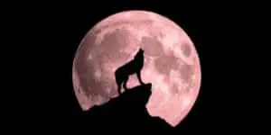 full-moon-in-january-2021-wolf-moon