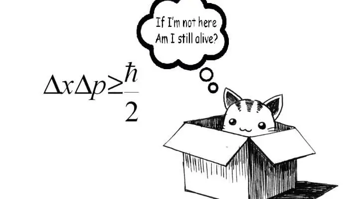 schrödinger's-cat-experiment