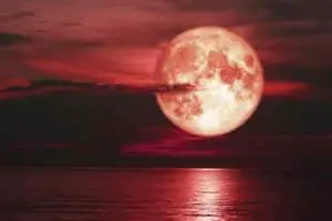 december-moon-strawberry-moon-southern-hemisphere