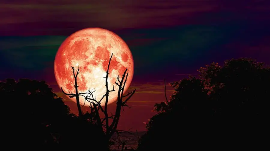 full-moon-in-april-southern-hemisphere-hunters-moon