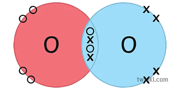 oxygen-molecule-double-covalent-bond-example